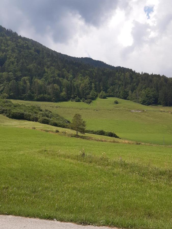 Apartma Lupis Apartment Podvolovljek Luaran gambar